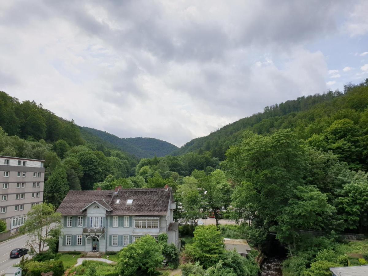Großes Apartment in idealer Lage mit Ausblick Bad Harzburg Exterior foto